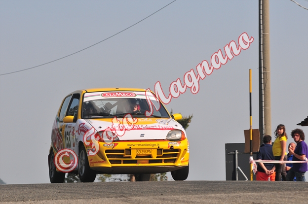 DSC_0262.jpg
